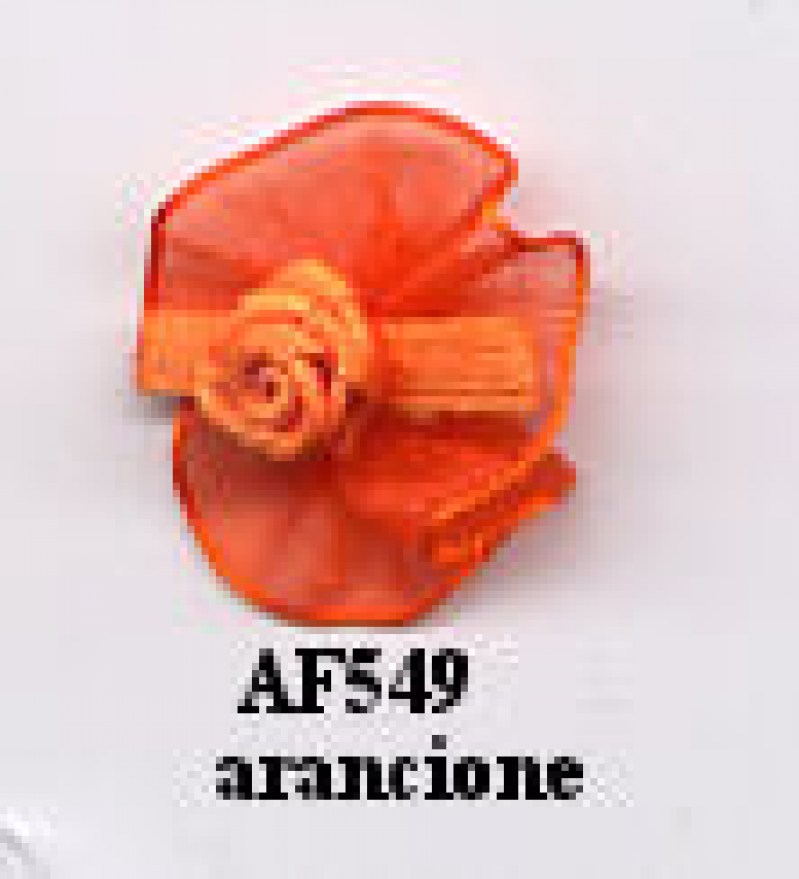 APPL. ROSELLINE ORGANZA  PZ. 25