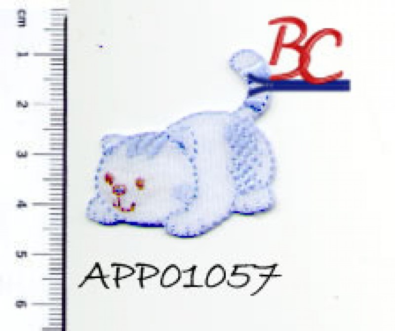 APPL.RIC.pz.6